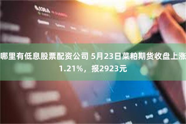 哪里有低息股票配资公司 5月23日菜粕期货收盘上涨1.21%，报2923元