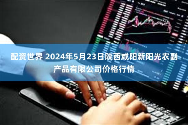 配资世界 2024年5月23日陕西咸阳新阳光农副产品有限公司价格行情