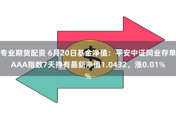 专业期货配资 6月20日基金净值：平安中证同业存单AAA指数7天持有最新净值1.0432，涨0.01%