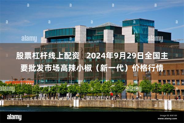 股票杠杆线上配资   2024年9月29日全国主要批发市场高辣小椒（新一代）价格行情