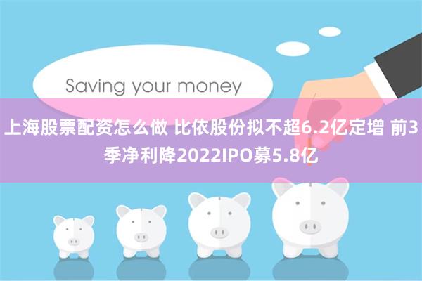 上海股票配资怎么做 比依股份拟不超6.2亿定增 前3季净利降2022IPO募5.8亿