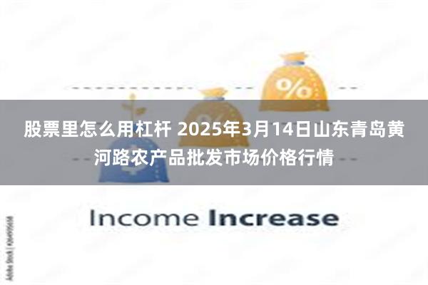 股票里怎么用杠杆 2025年3月14日山东青岛黄河路农产品批发市场价格行情